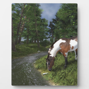 Paint Horse by Forest Stream Fotoplatte