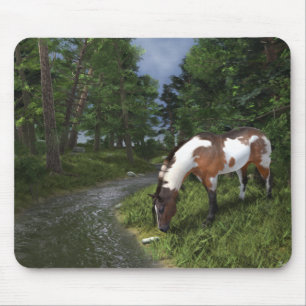Paint Horse by Forest Stream Mousepad