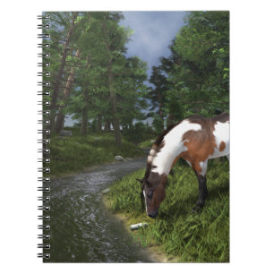 Paint Horse by Forest Stream Notizblock