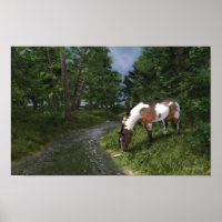 Paint Horse by Forest Stream