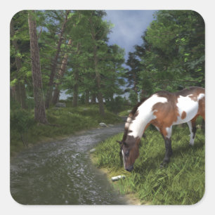 Paint Horse by Forest Stream Quadratischer Aufkleber