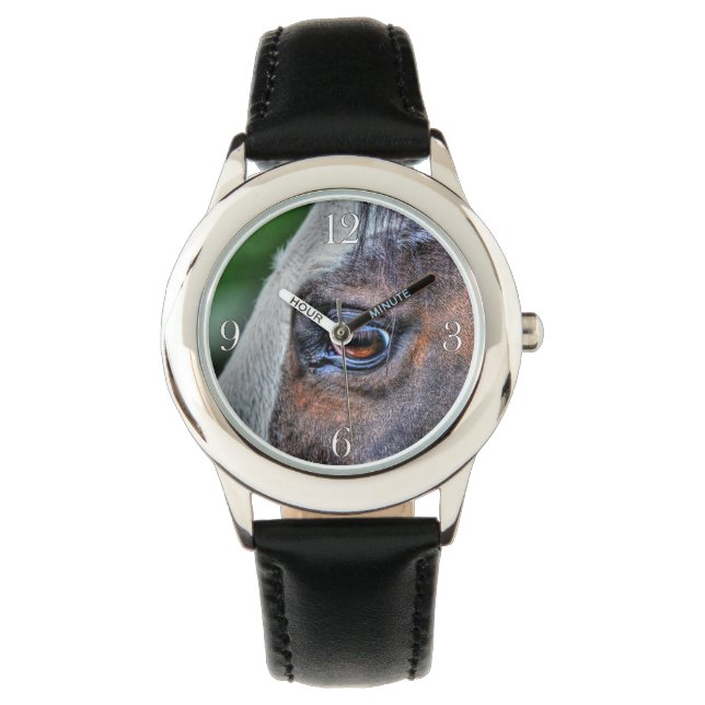 Paint Horse Eye Equine Foto Portrait Armbanduhr (Vorderseite)
