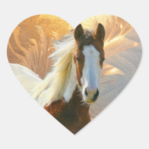 Paint Horse Gold Heart Stickers