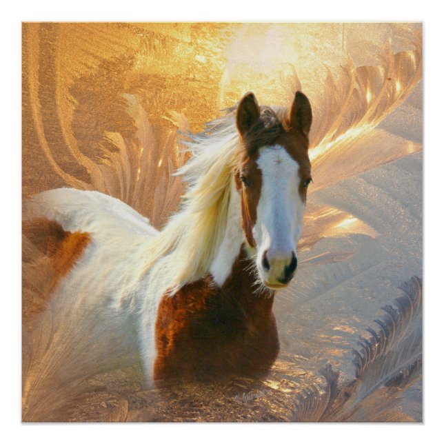 Paint Horse Gold Perfect Poster (Vorderseite)