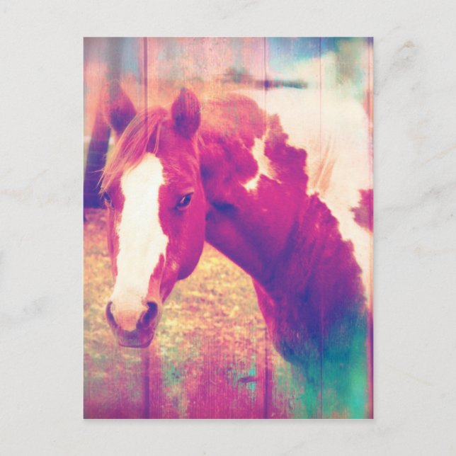 Paint Horse Grunge Postkarte (Vorderseite)
