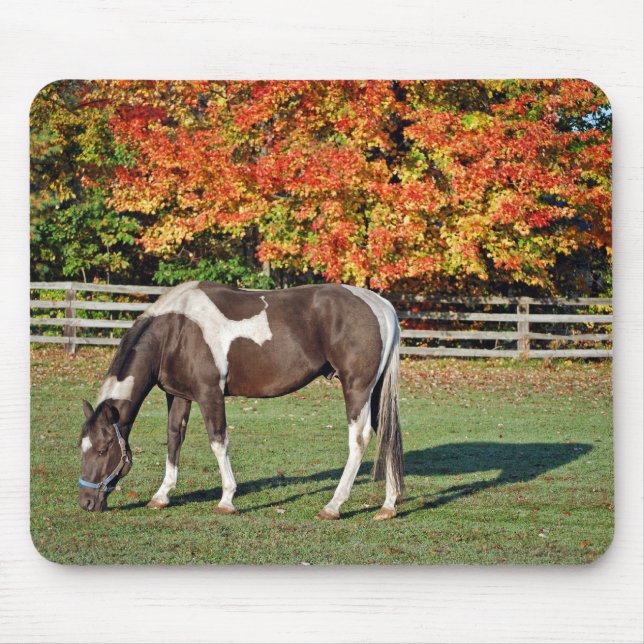 Paint Horse in Herbstweide Mousepad (Vorne)