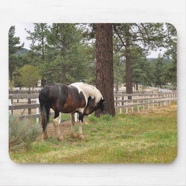 Paint Horse Mousepad (Vorne)