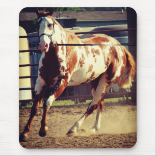 Paint Horse Mousepad