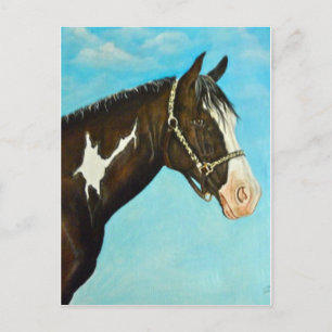 Paint Horse Postkarte