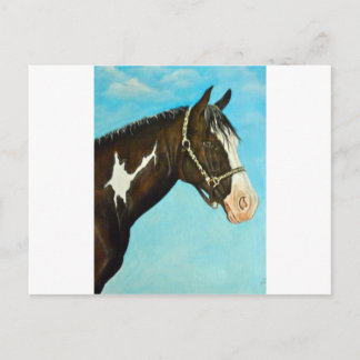 Paint Horse Postkarte