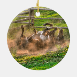 Paint Horse Rolling in Dust Funny Equine Foto Keramik Ornament