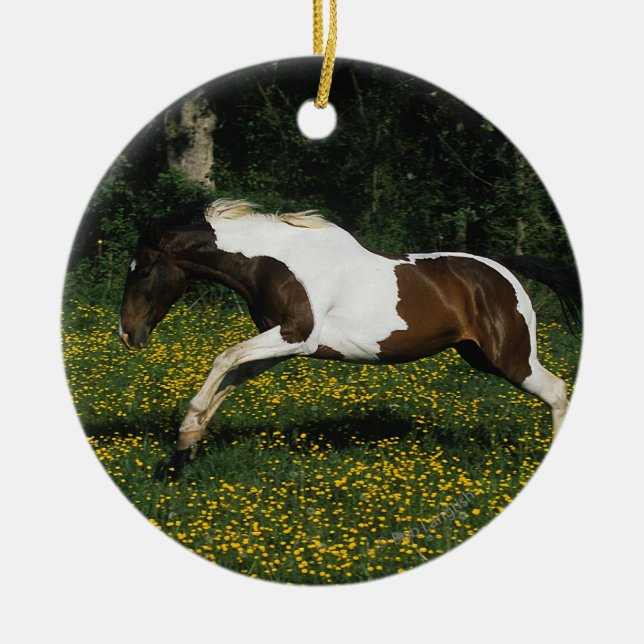 Paint Horse Running in Field of Blume Keramikornament (Vorne)