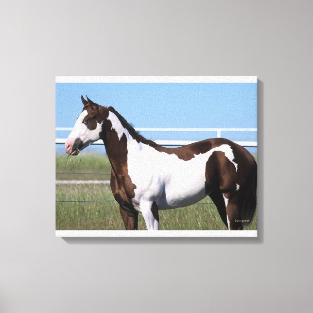 Paint Horse Stehend Leinwanddruck (Vorderseite)