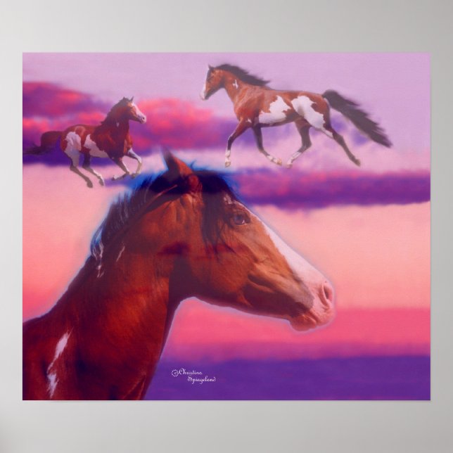 Paint Horse Sunset Poster (Vorne)