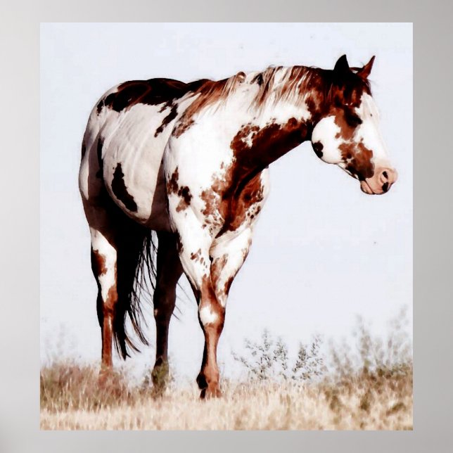 Paint Horse Watercolor Poster drucken (Vorne)