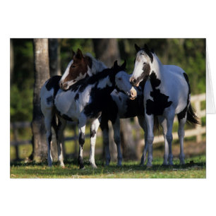 Paint Horses