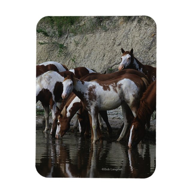 Paint Horses Drinks Magnet (Vertikal)