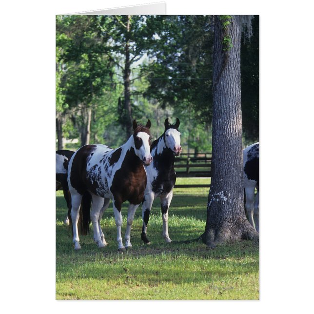 Paint Horses in the Trees (Vorne)