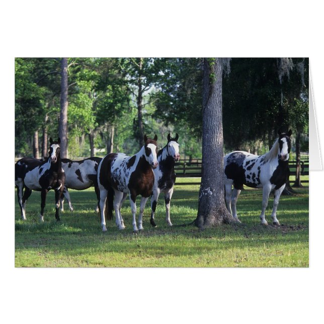Paint Horses in the Trees (Vorderseite (Horizontal))