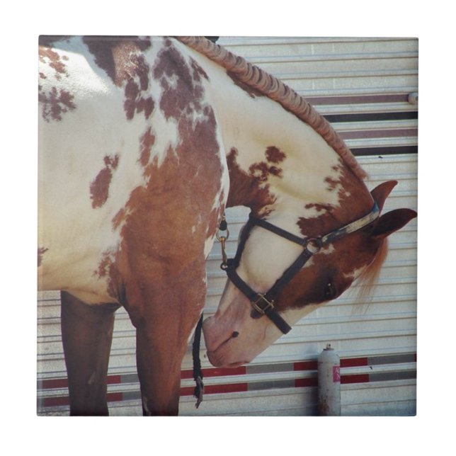 Paint Pferd Fliese (Vorderseite)