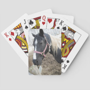 Paint Pinto Pferd Spielkarten