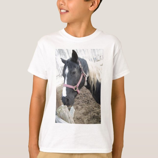 Paint Pinto Pferd T-Shirt (Vorderseite)