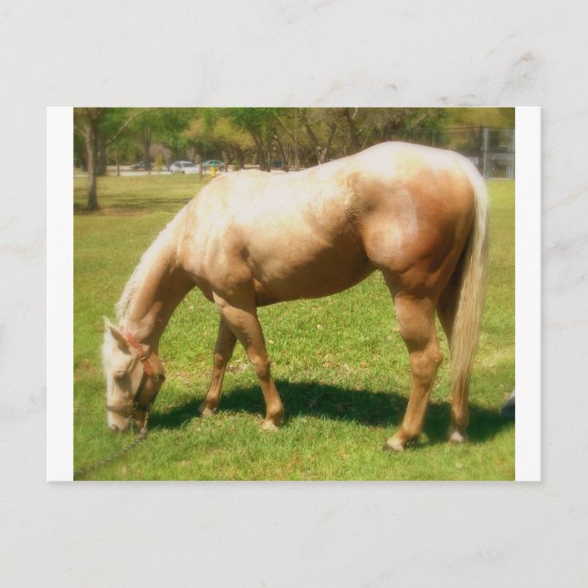 Paint Postkarte (Vorderseite)