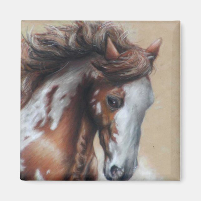 Paint Ross in der Wüste Magnet (Vorne)