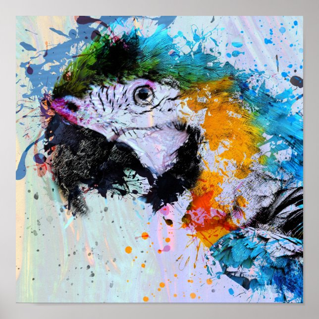 Paint Splash Parrot | Poster Print (Vorne)