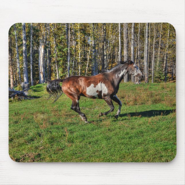 Paint Stallion & Forest Equine Foto Mousepad (Vorne)
