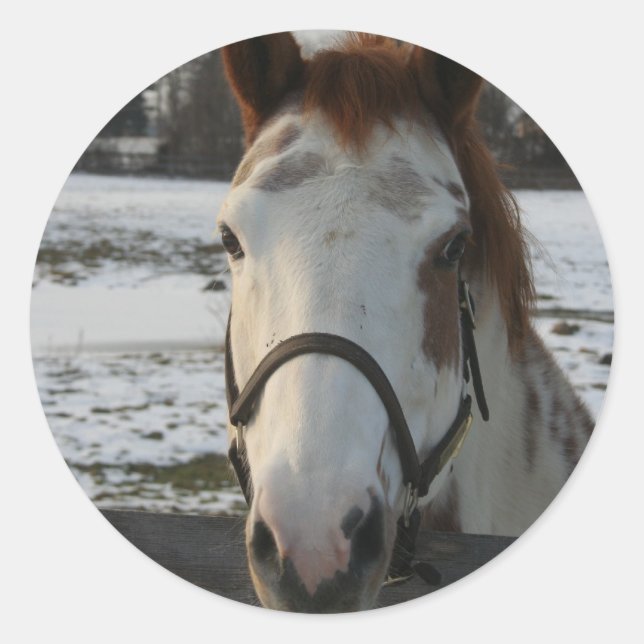 Paint Sticker (Vorderseite)