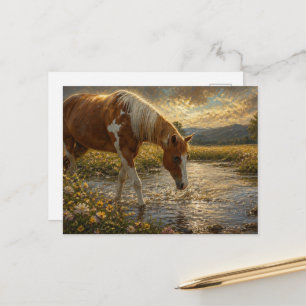Paint-Stute überquert den Bach Postkarte