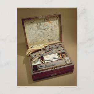 Paintbox von John James Audubon Postkarte