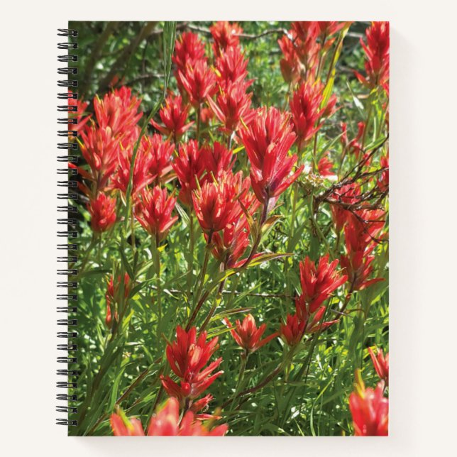 Paintbrush Spiral Notebook Notizbuch (Vorderseite)