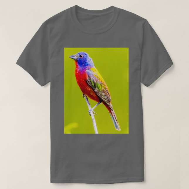 Painted Bunting 1 T-Shirt (Design vorne)