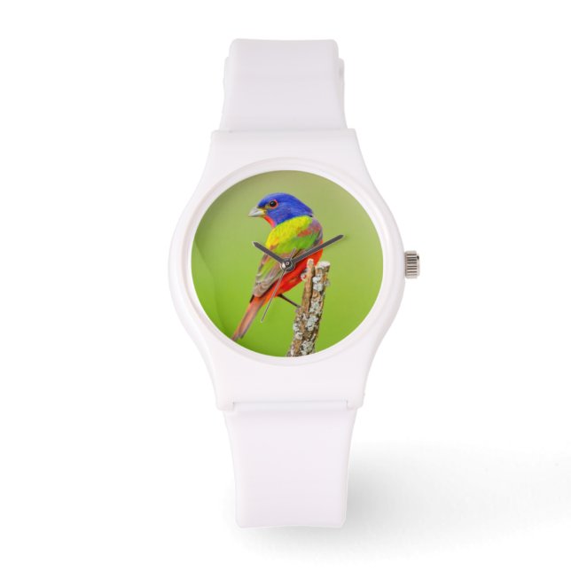 Painted Bunting Armbanduhr (Vorderseite)