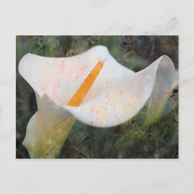 Painted Calla Lily Horizontal Postcard Postkarte (Vorderseite)