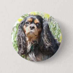 Painted Cavalier King Charles Spaniel Button