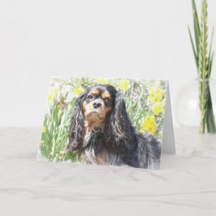 Painted Cavalier King Charles Spaniel Grußwagen Karte