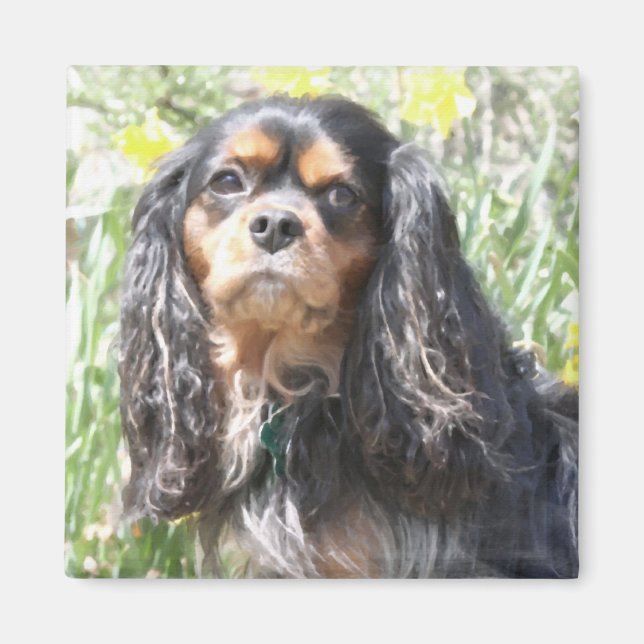 Painted Cavalier King Charles Spaniel Magnet (Vorne)