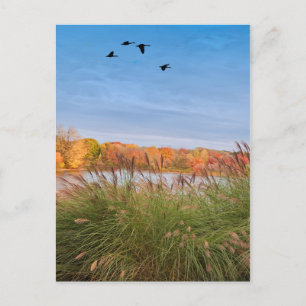Painted Connecticut Herbst Postkarte