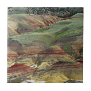 Painted Hills, John Day Fossil Beds, Mitchell Fliese