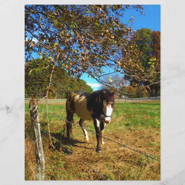 Painted Horse, (Vorderseite)