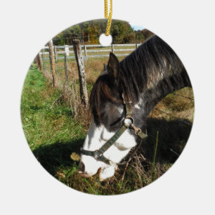 Painted Horse, Eating Queen Ann Lace Blume Keramik Ornament