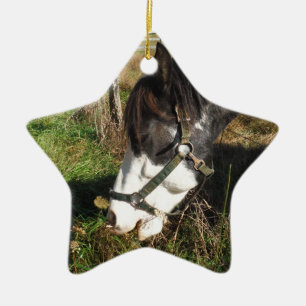 Painted Horse, Eating Queen Ann Lace Blume Keramik Ornament