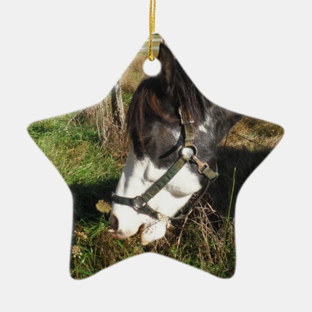 Painted Horse, Eating Queen Ann Lace Blume Keramik Ornament (Vorne)