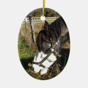 Painted Horse, Eating Queen Ann Lace Blume Keramikornament