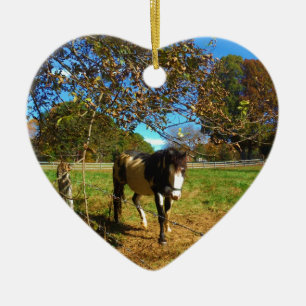 Painted Horse, Keramikornament