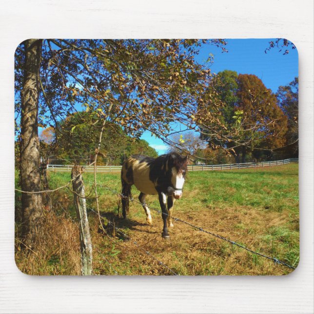 Painted Horse, Mousepad (Vorne)