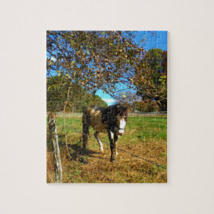 Painted Horse, Puzzle